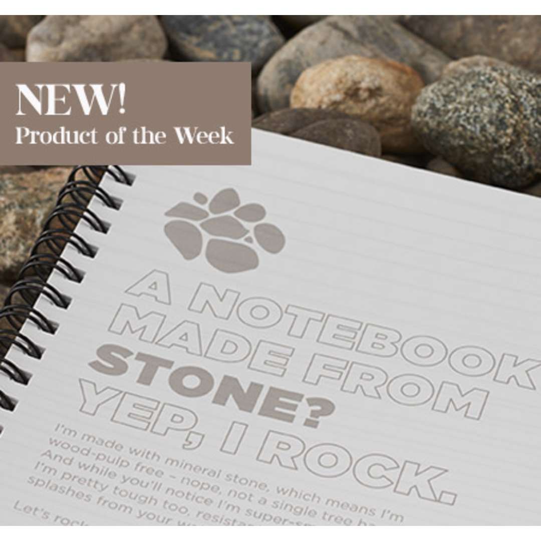 b0510d4dd099a1e9579c8154338079fe