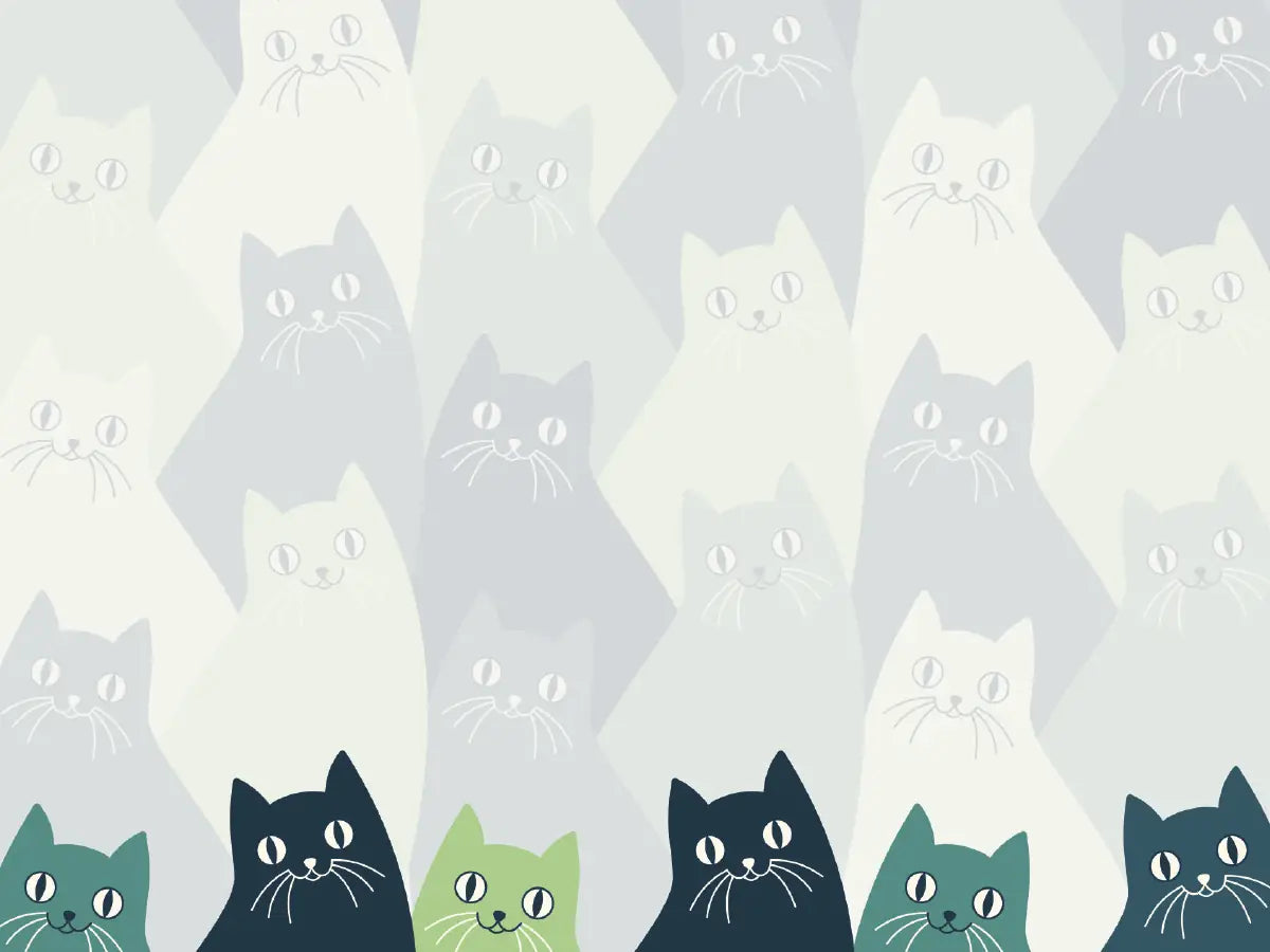01507ff50e2db077102d85a330fe9374