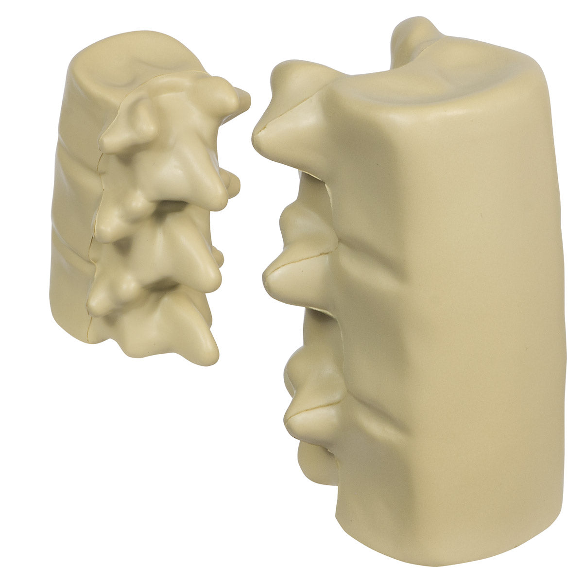 Spinal Segment Stress Reliever