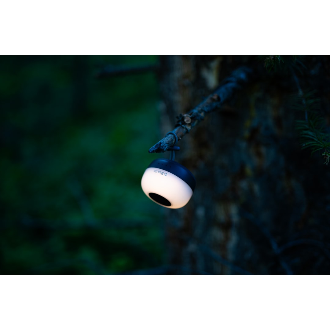 06c841564c911a376947ee5150bce57c