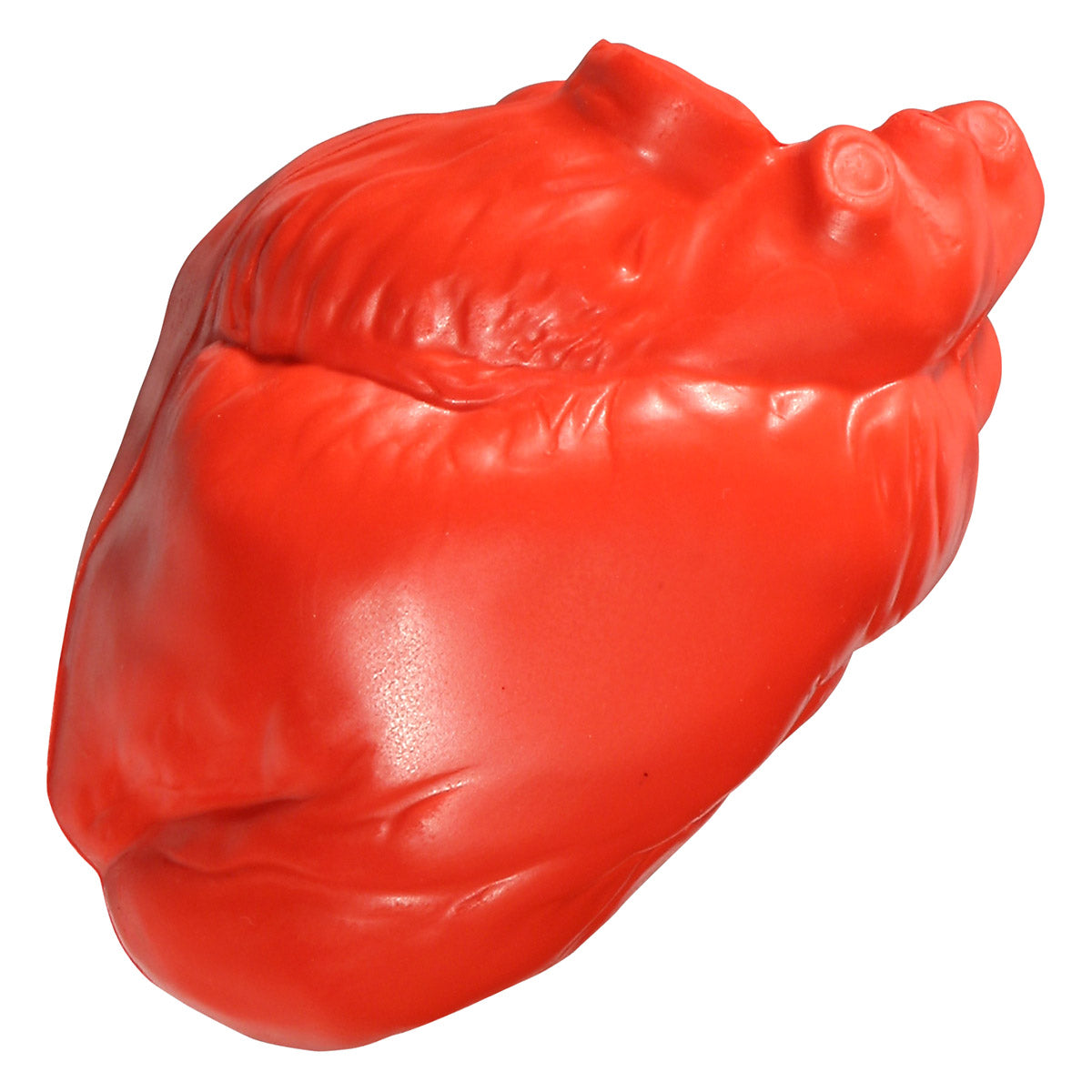 4b6455e63718a77cbcf50733f3f12edd