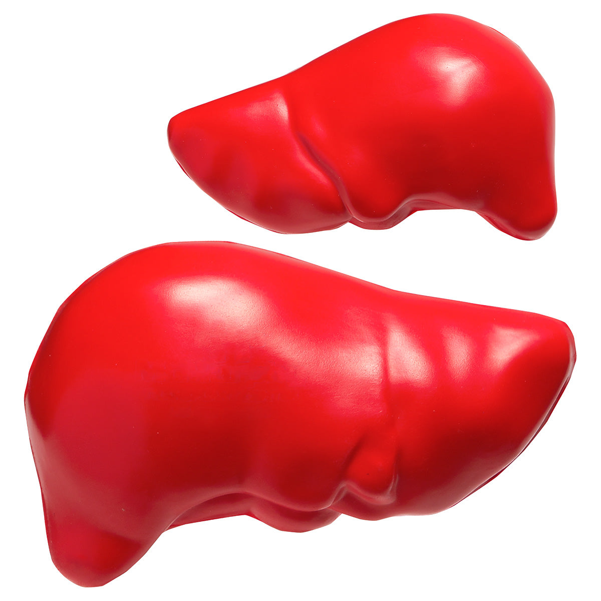 142e953a7a15a34f86fbada9e99ccf19